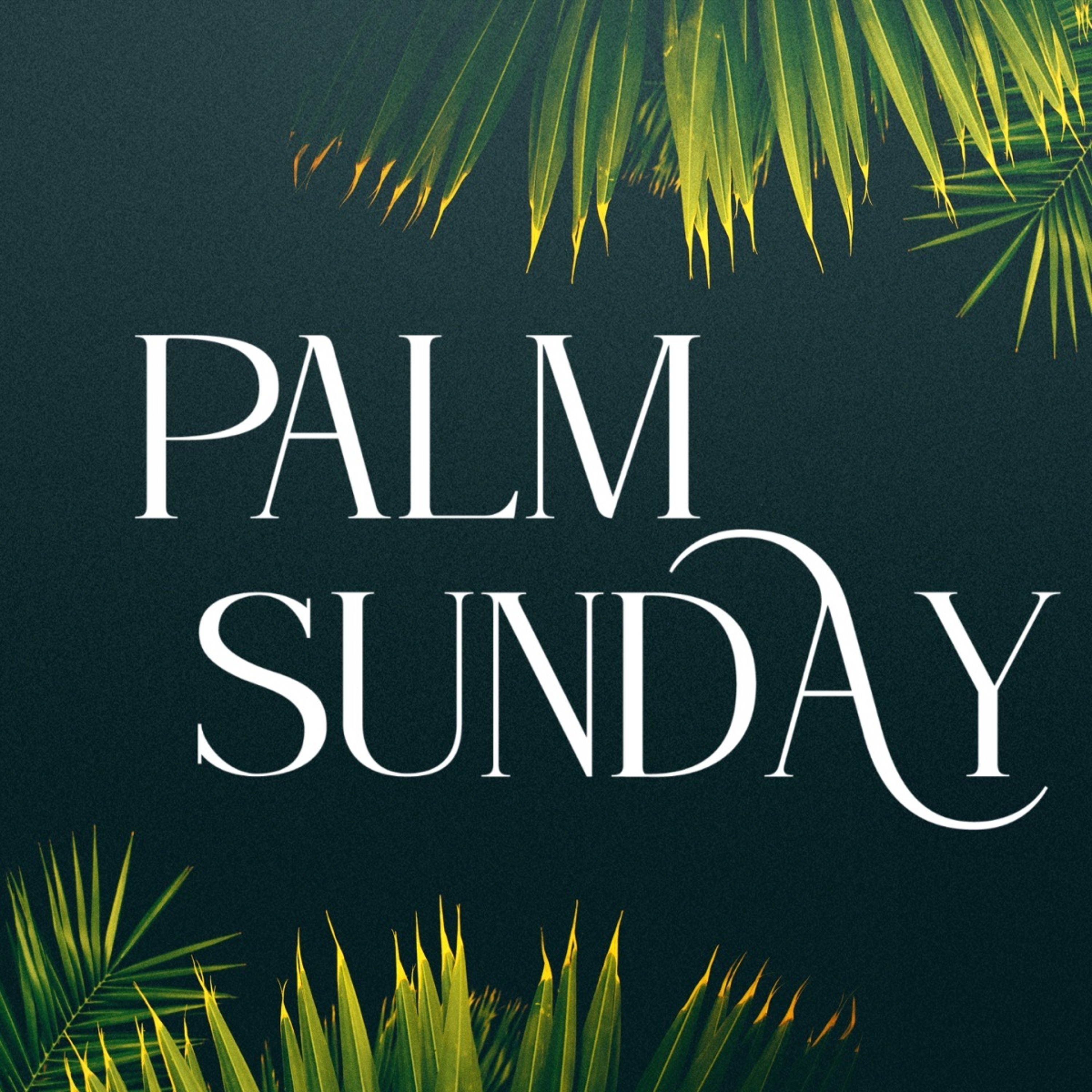 2023-04-02 Palm Sunday, Pastor Kendall Feenstra episode artwork