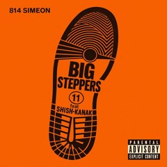 big steppers