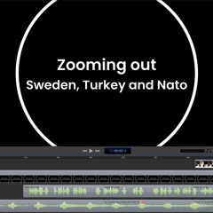Zooming out on Sweden, Turkey and Nato