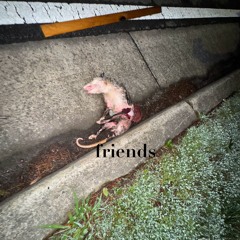 friends { 6astardcanrise }
