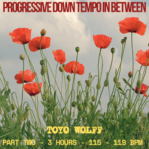 Evolution continues – the mindset remains the same - Part Two