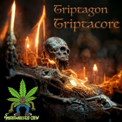 Triptagon - Triptacore Album