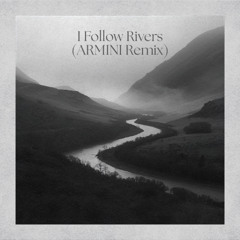 [FREE DOWNLOAD] Lykke Li - I Follow Rivers (ARMINI Remix)