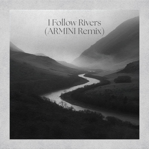[FREE DOWNLOAD] Lykke Li - I Follow Rivers (ARMINI Remix)
