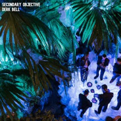 Secondary Objective