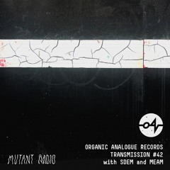 Organic Analogue Transmission # 42  With MEAM and SDEM [30.04.2024]