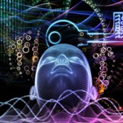 Hipnux 2023