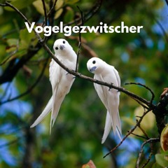 Schöne Vogelgeräusche