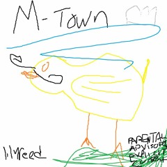 MtOWN