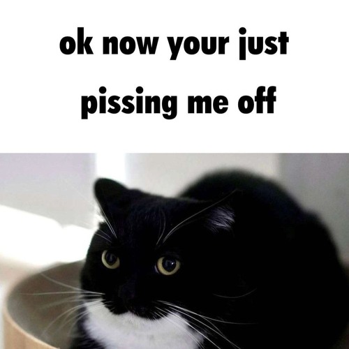 ROBLOX LOUD BYPASSED BRAZILIAN AUDIO BY 9DAPLUG ULTRA MEGA RARE SUPER RARE LOUD