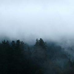 [rb_XV] Étincelle - 150 - A#