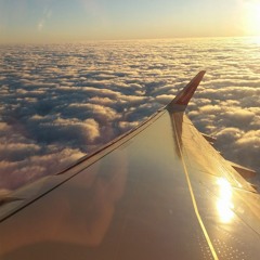 Orca Read - The Rumour