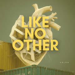 Like No Other (Duetta Version)