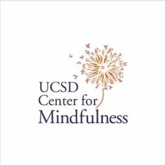 Short Mindfulness & Compassion Meditations