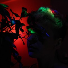 Shpongle - Around the World in a Tea Daze