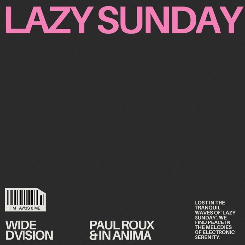 Premiere: Paul Roux, In Anima - Lazy Sunday [Wide Dvision]