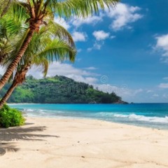 Dies Irie for viola and piano