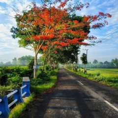 DJ AISYAH JATUH CINTA TIK TOK 2020 [Huznimuhamad].mp3