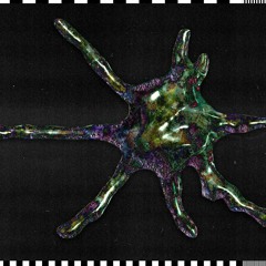 ANASTASIA KRISTENSEN & THYS 080923