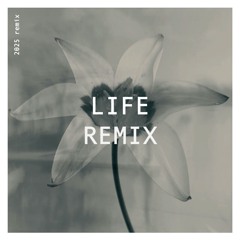 Roger Burke - Life (2025 Remix)