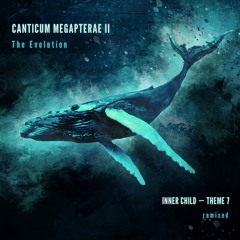 CANTICUM MEGAPTERAE II - The Evolution