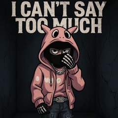I Cant Say Too Much