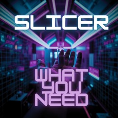 Slicer - What You Need