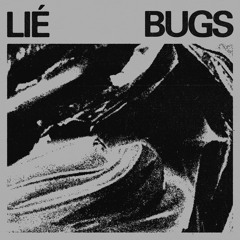 Bugs