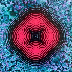 Vibrations 3: Return to the Wook
