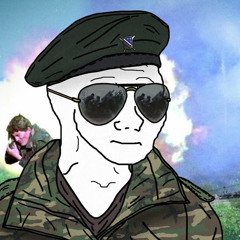 Bosanska Artiljerija but you're shelling Serbian positions