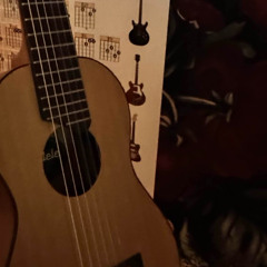 5 Minutes of Practicing on My Guitalele (with Effects)