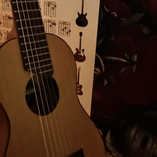 5 Minutes of Practicing on My Guitalele (with Effects)