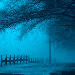 Under the Icy Path