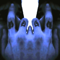 HVZE - GINEKOLOG (SNIPPET)