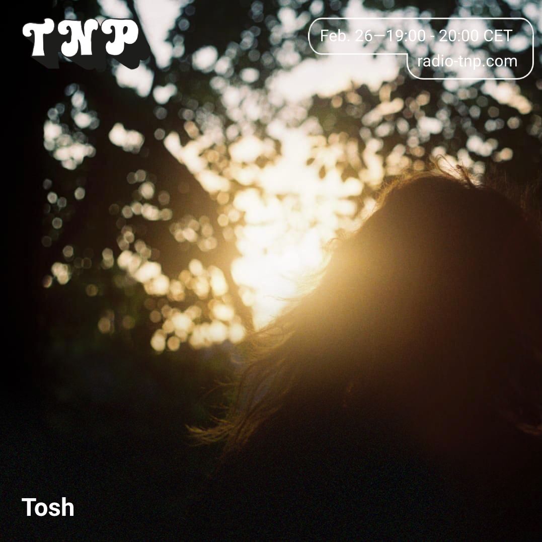 Adventures In Sonic Fiction w/ Tosh