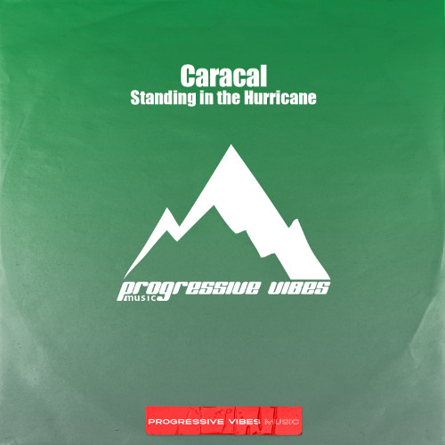 Caracal - Standing in the Hurricane [Progressive Vibes Music - PVM1121]