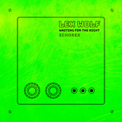 Waiting For The Night (Club)