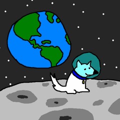 Space Isn't Safe For Dogs