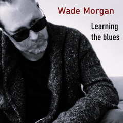 Learning The Blues