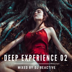 Deep Experience 02 (Mixed by Dj Reactive)