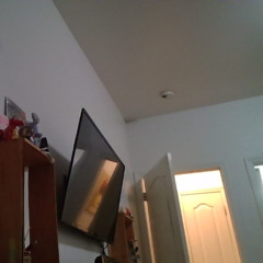 77658  prod velly bandz