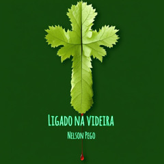 Ligado na Videira