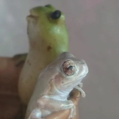 522 (nyvaken demo från februari)