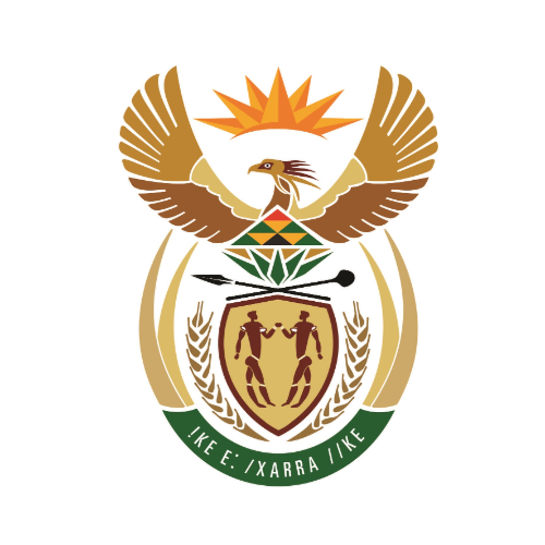 Stream consumer price index january 2025 english by stats sa