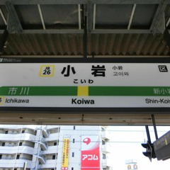 YOUKAI KOIWA
