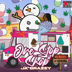 Need A Plan (feat. BSQ Wizzle)