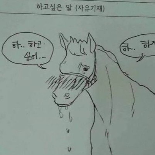 YN x 진철74 x G.o bana x HoshiAki