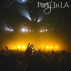 Afrok1d-Party In LA