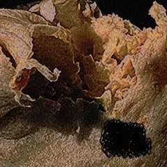 Sexual Pleasure Derived From Heinous Acts