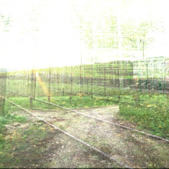 accepted (prod 444jet)